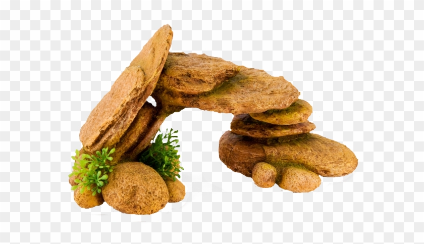 Photo Logs - Biscotti Clipart