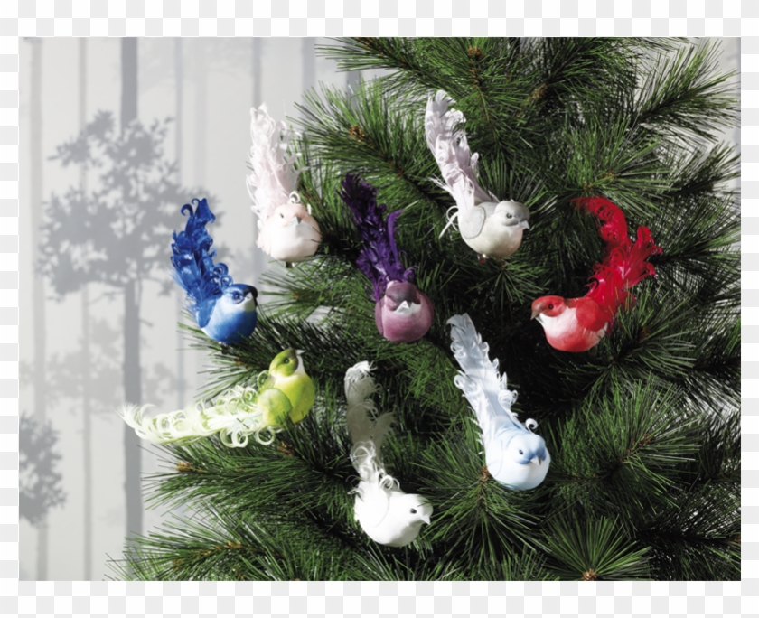 Adornos Navidad - Pajaros Clipart