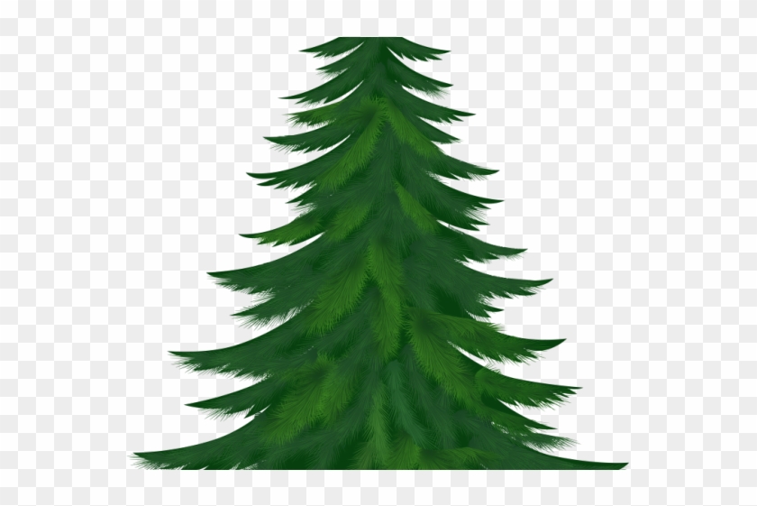 Christmas Ornament Clipart Pine Tree Branch - Pine Tree Clipart Png Transparent Png #1301251