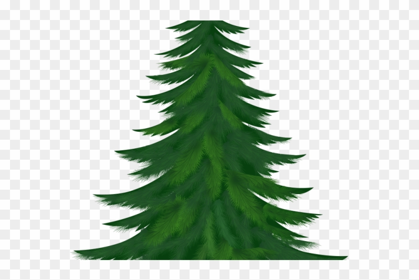 Christmas Ornament Clipart Pine Tree Branch - Pine Tree Clipart Png Transparent Png