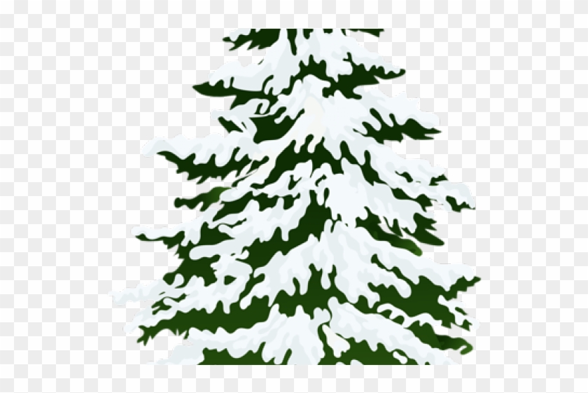 Pine Tree Clipart Leaf - Pine Tree With Snow Clip Art - Png Download