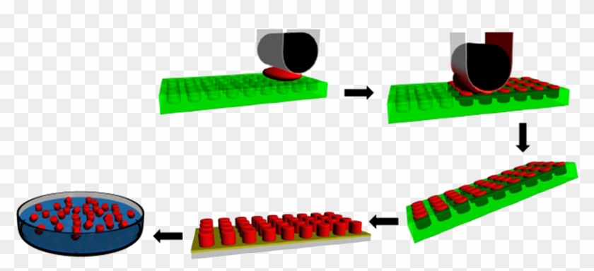 Print » Desimone Research Group - Lego Clipart