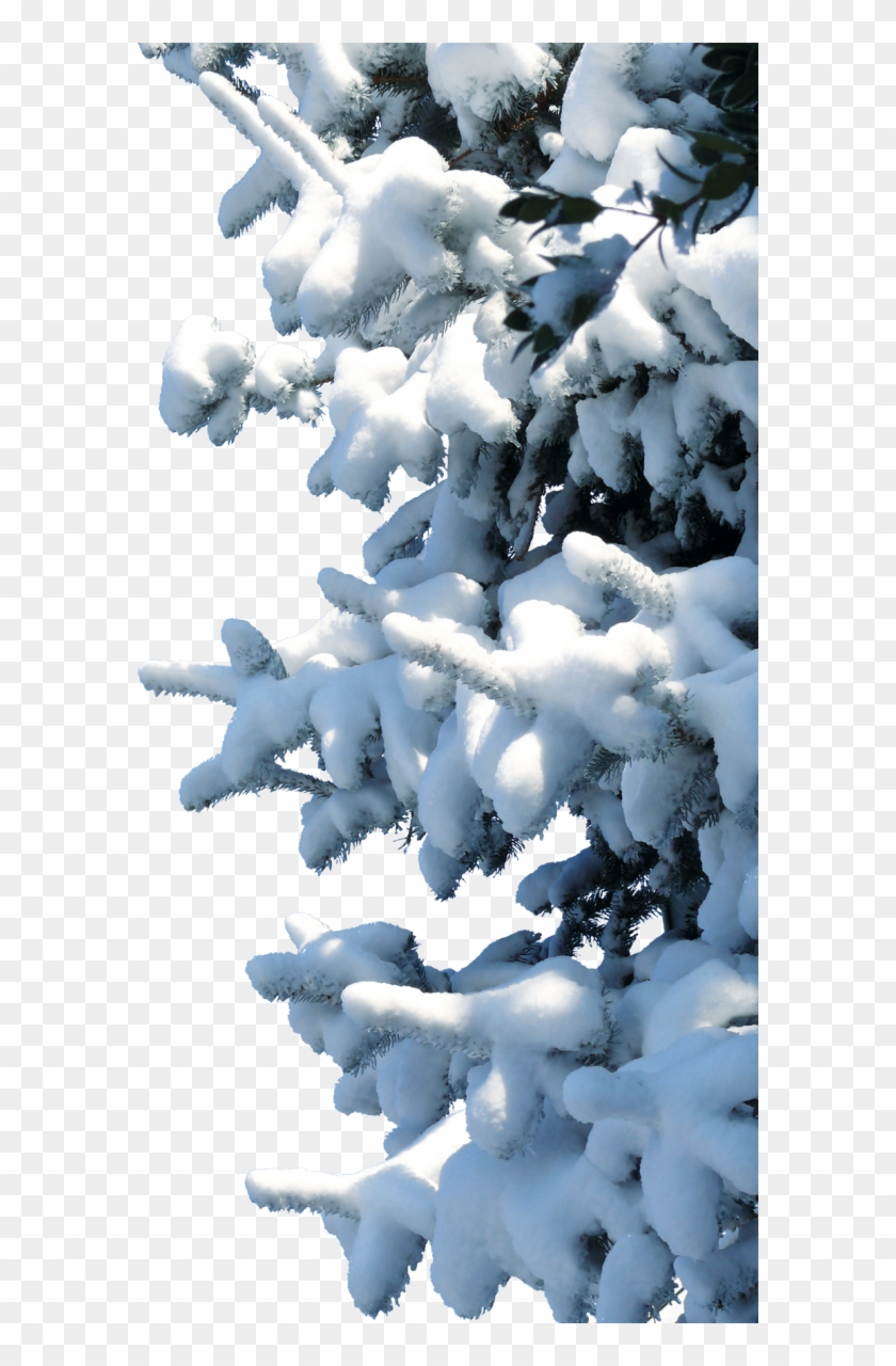 Snow Clipart