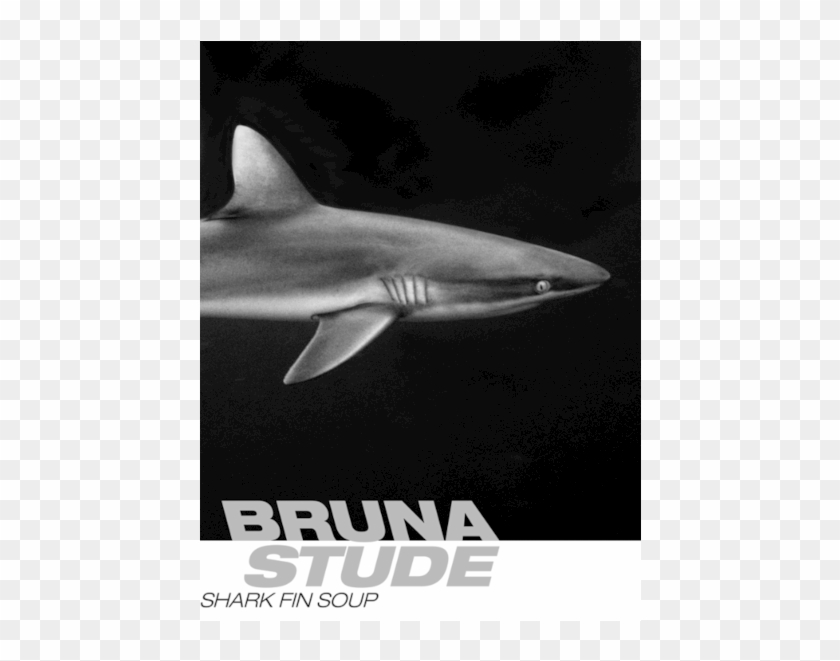 Ocean Meets Art - Great White Shark Clipart