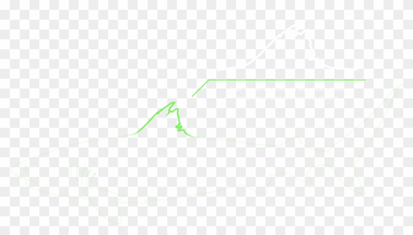 ＋ - Cat Fish Clipart #1305424