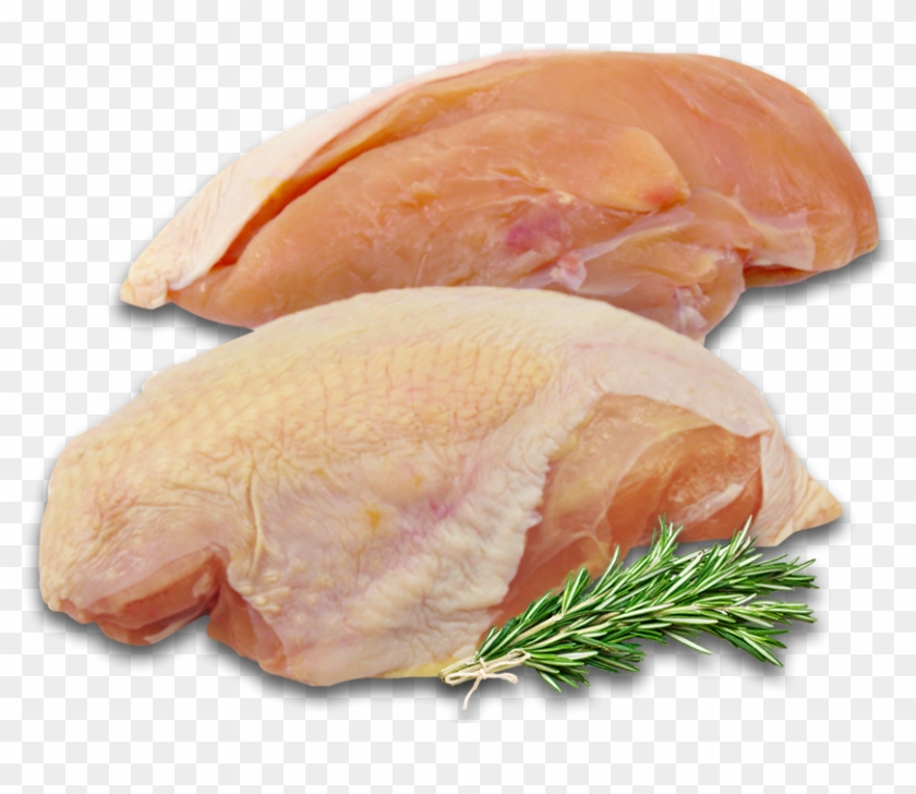 Pressed Duck Clipart