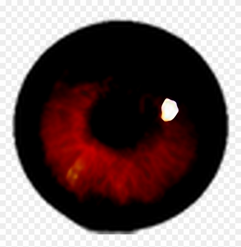 #terror #ojo #sangre #halloween #happyhalloween #stiker - Circle Clipart #1307546