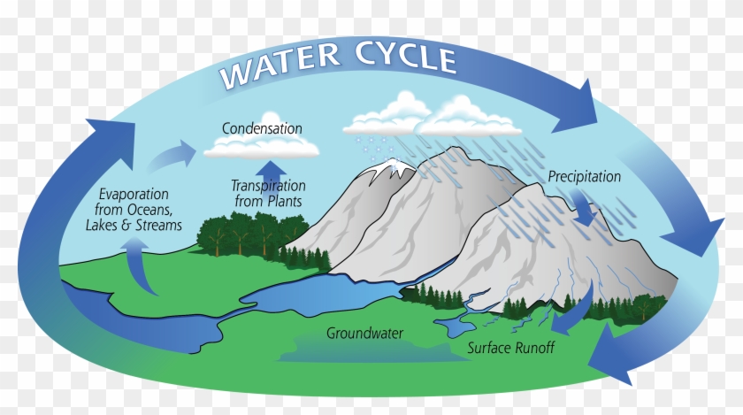 Water Cycle For Class 4 Clipart