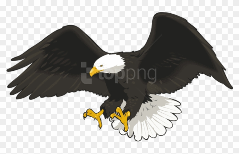 Free Png Download Eagle Png Png Images Background Png - Bald Eagle Clipart Png Transparent Png #1309501