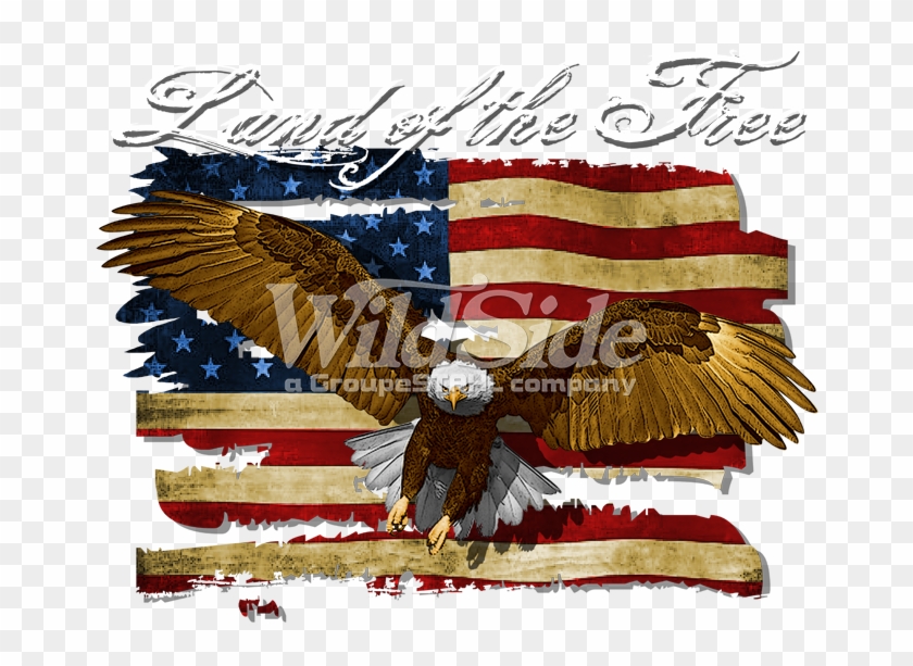 Land Of The Free - Bald Eagle Clipart #1309525