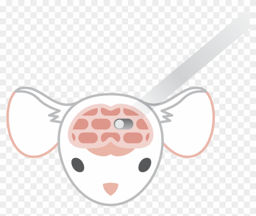 Neuron Clipart Fill In Blank - Png Download
