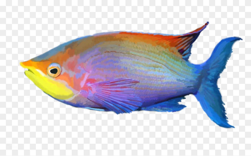 Tropical Fish Png Clipart #1309954