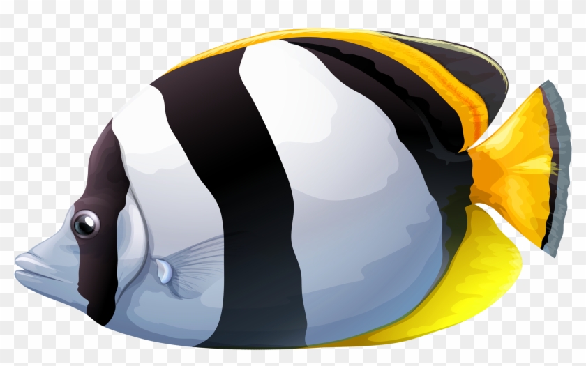 White Chaetodon Butterfly Fish Png Clipart - Butterfly Fish Png Transparent Png #1310025