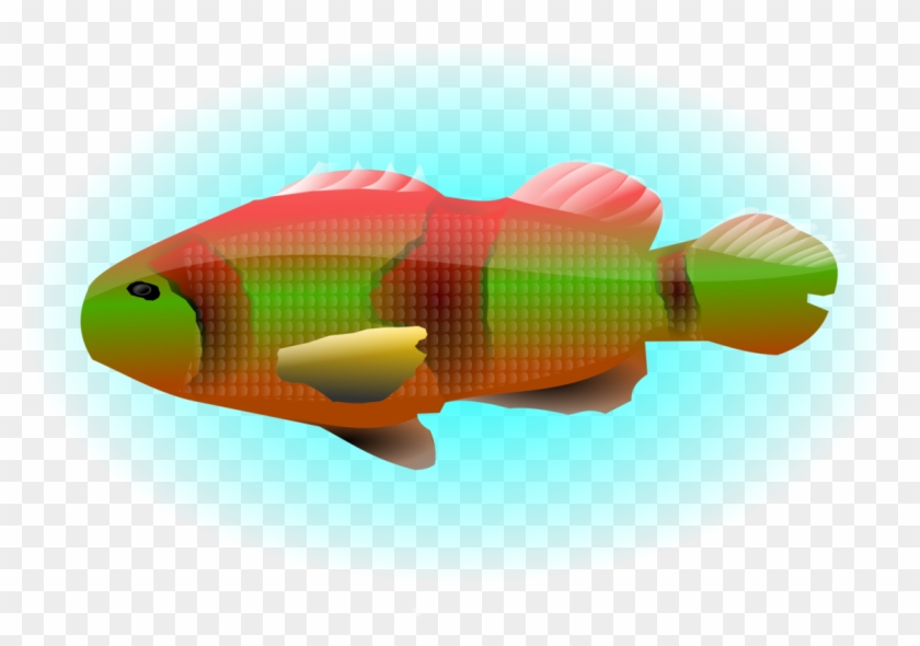 Goldfish Computer Icons Drawing Tropical Fish - Clip Art - Png Download #1310946
