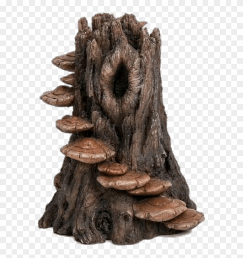 Download - Tree Trunk Clipart #1312489