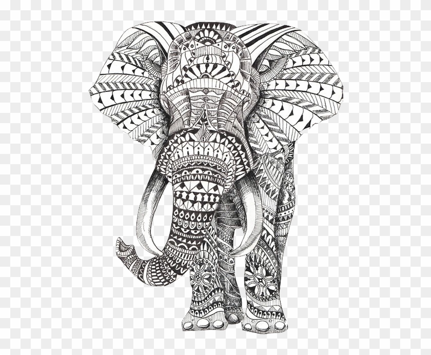 500 X 673 31 - Mandala Éléphant Clipart