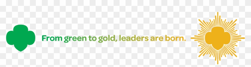 Girl Scout Higher Awards Clipart #1313420