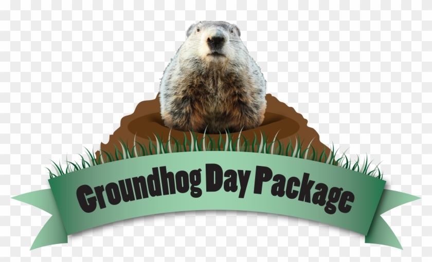 Punxsutawney May Have Phil, But Indiana County Has - Punxsutawney Phil Clipart #1313558