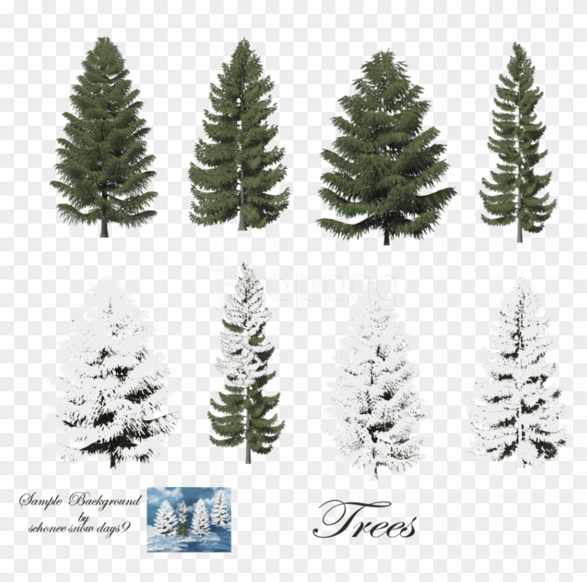 Free Png Download Fir-tree Free Png Images Background - Snow On Trees Photoshop Clipart #1314107