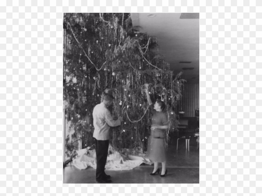 Decorating The Christmas Tree At The College Union, - Photograph Clipart #1314330