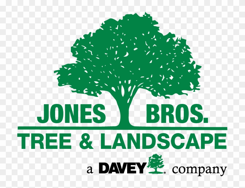 Landscaping Logo With Trees Clipart #1314499