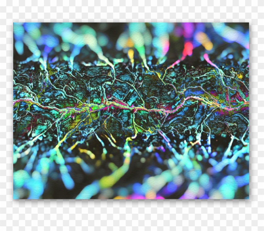 Ashampoo Snap 09 January 2019 15h39m39s - Macro Photography Clipart