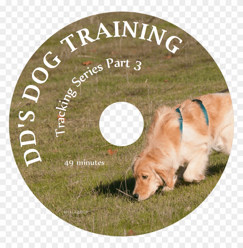 Tracking - Dog Catches Something Clipart