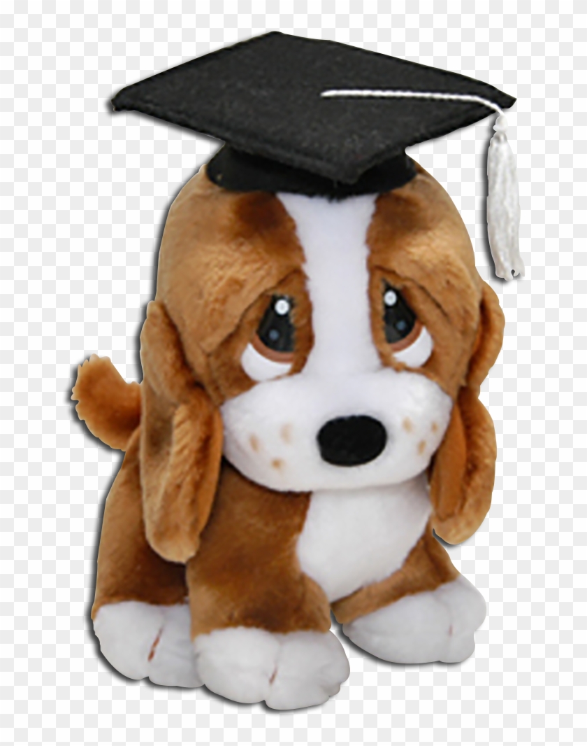 graduation stuffed dog