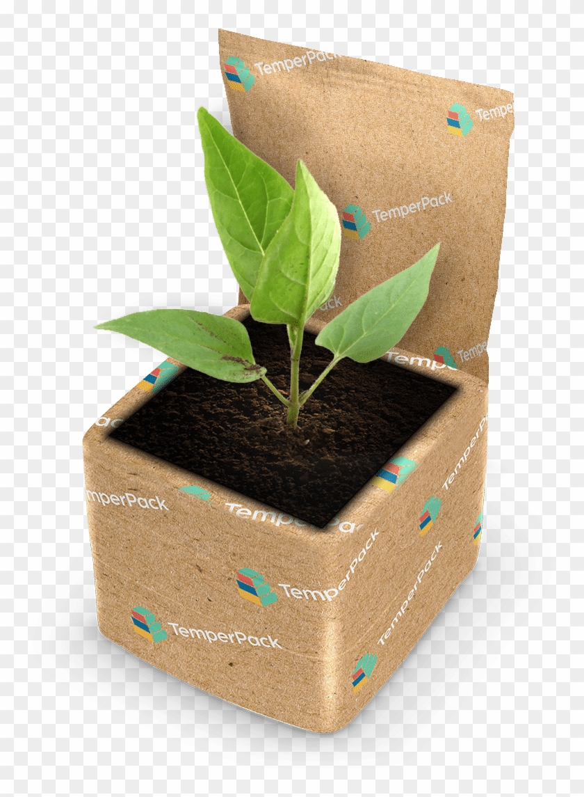 Sustainable Plant Package - Flowerpot Clipart #1315106