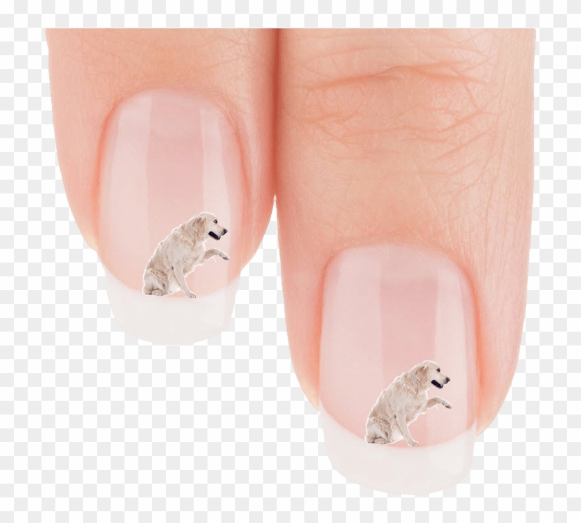 Golden Retriever Wanna Shake Nail Art Decals Patch - Nail Polish Clipart #1316112