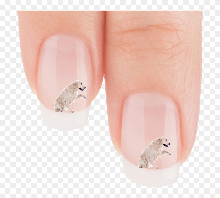 Golden Retriever Wanna Shake Nail Art Decals Patch - Nail Polish Clipart