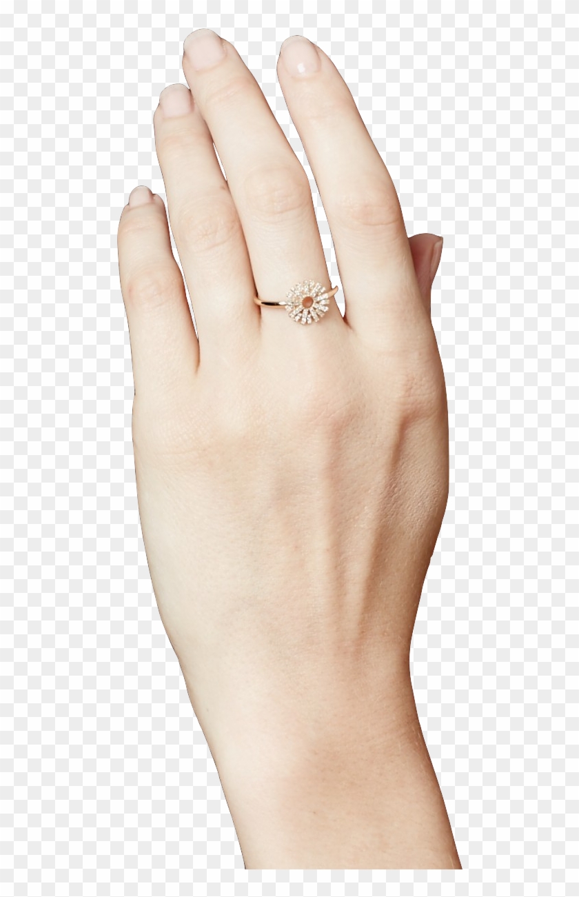 The Summer Shine Rose Gold Clipart