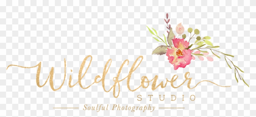 Wildflower Studio Soulful Photography , Png Download - Artificial Flower Clipart