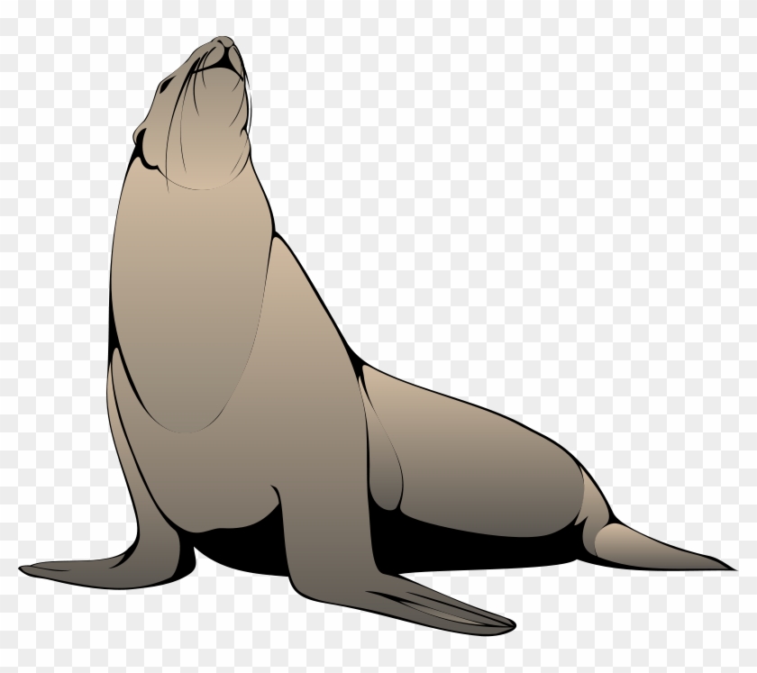 Free Pictures Download Clip Art On Seal - Jokes In Spanish For Kids - Png Download #1317145