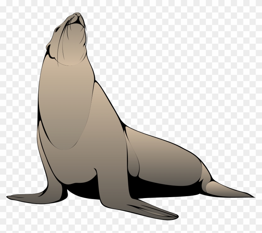 Free Pictures Download Clip Art On Seal - Jokes In Spanish For Kids - Png Download