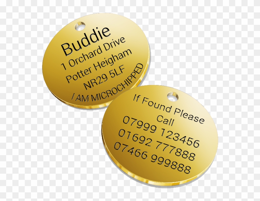 Circle Clipart #1317478