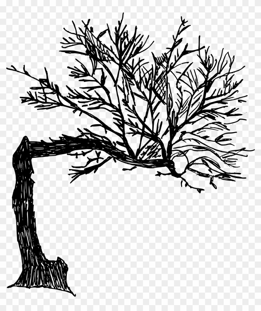 Free Download - Png Drawing Clipart #1317977