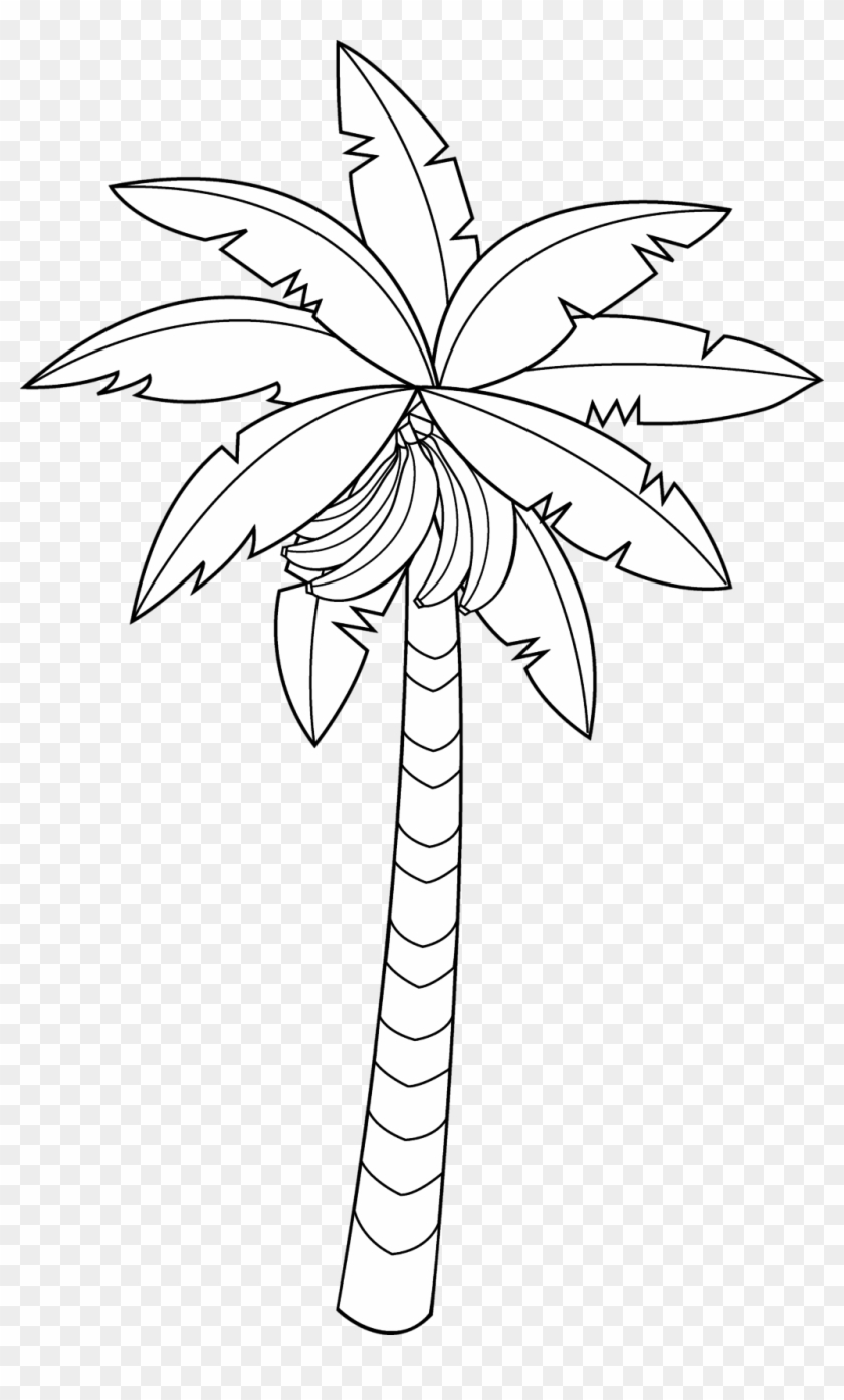 28 Collection Of Banana Tree Clipart Black And White - Banana Tree Line Drawing - Png Download