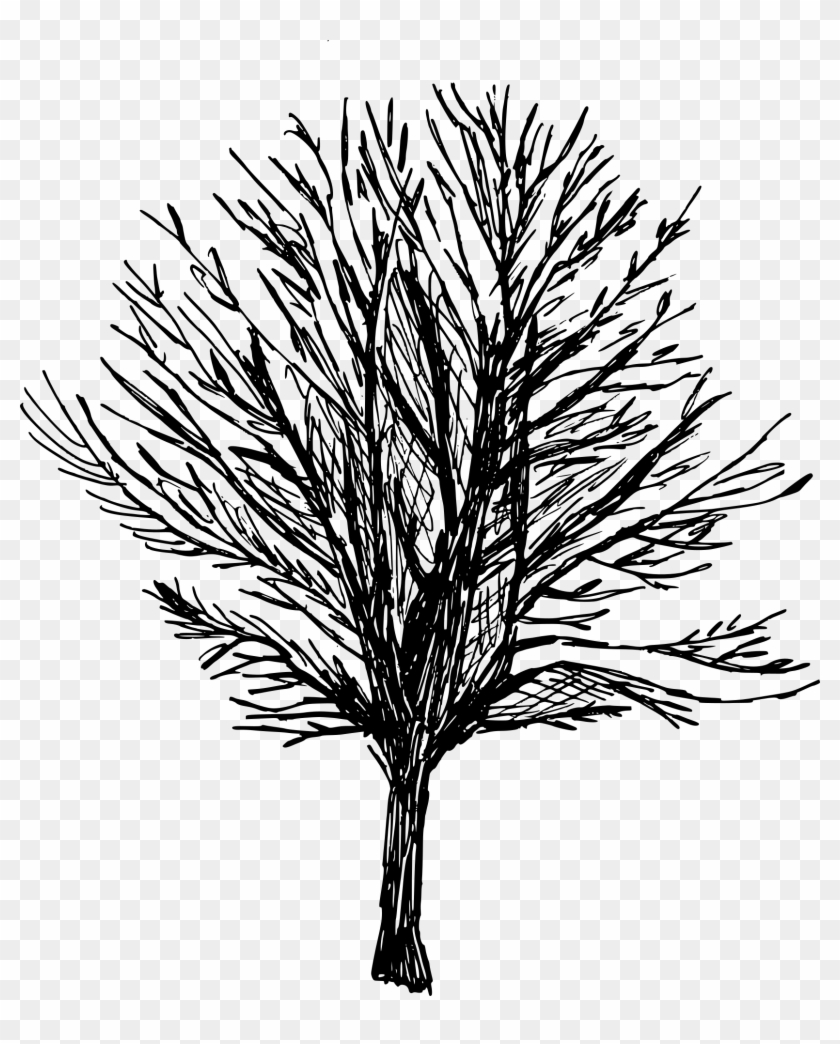 Free Download - Illustration Clipart #1318445