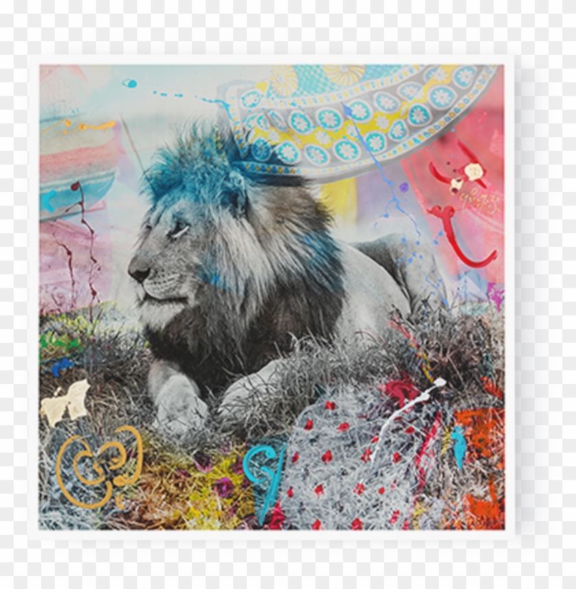 Photo Simba - Arno Elias - Im Not A Trophy Clipart