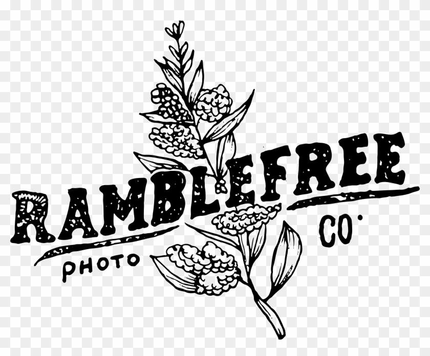 New England Wedding Photographer - Illustration Clipart