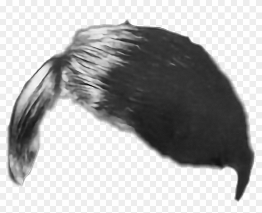 Hitler Hair Sticker By Jimmy - Hitler Hair Transparent Background Clipart #1320914
