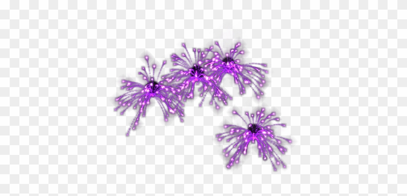 Animated Fireworks Gif Transparent - Lobelia Clipart #1321195