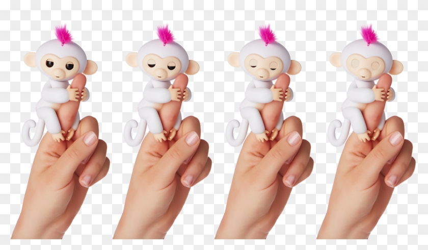 Talk In Monkey Babble They Come In A Variety Of Colors - میمون انگشتی اسباب بازی Clipart