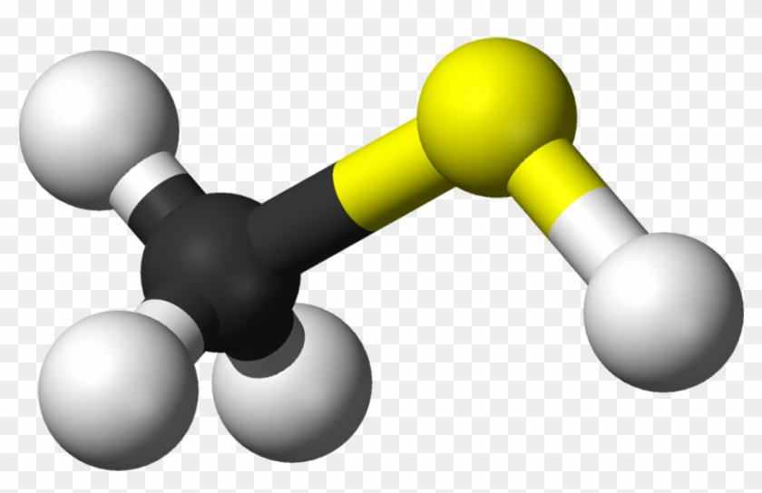Methanethiol Molecule Model - Methyl Mercaptan Clipart #1322506