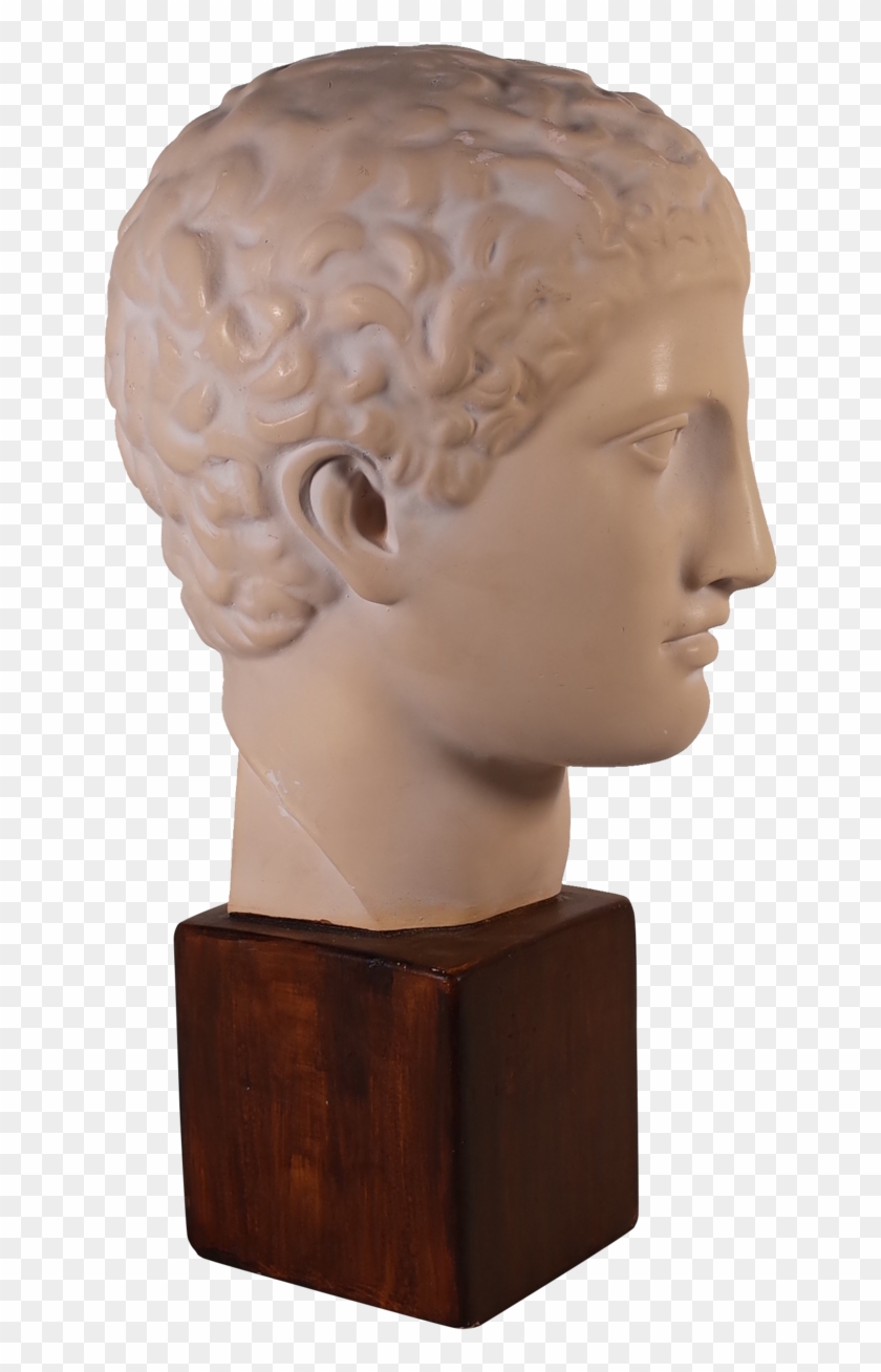 Plaster Bust Of Roman Male - Bust Clipart