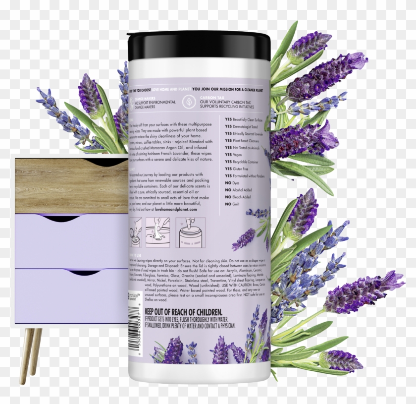 English Lavender Clipart