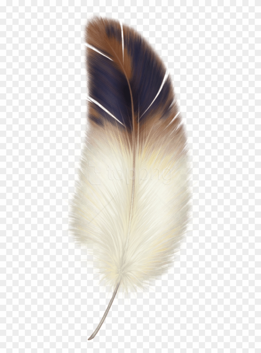 Free Png Download Feather Png Images Background Png - Bird Feather Clipart Transparent Png #1326119