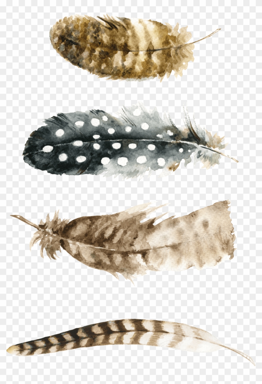 Free Printable Feathers Prints - Free Printable Feather Wall Art Clipart