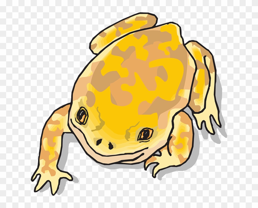 Download Yellow Cartoon Frog Clipart Png Download PikPng